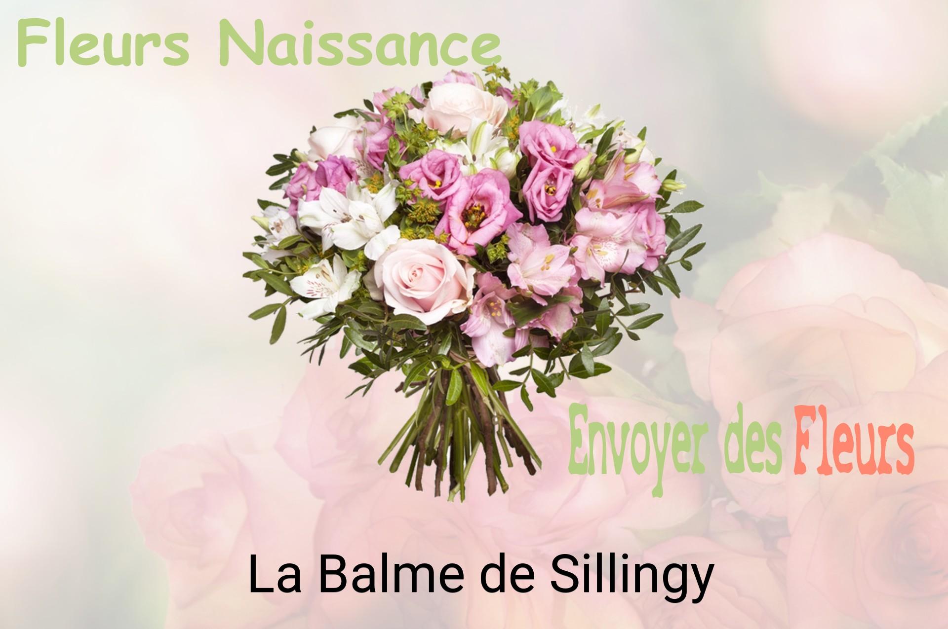 Bouquet de fleurs de naissance livré à La Balme-de-Sillingy